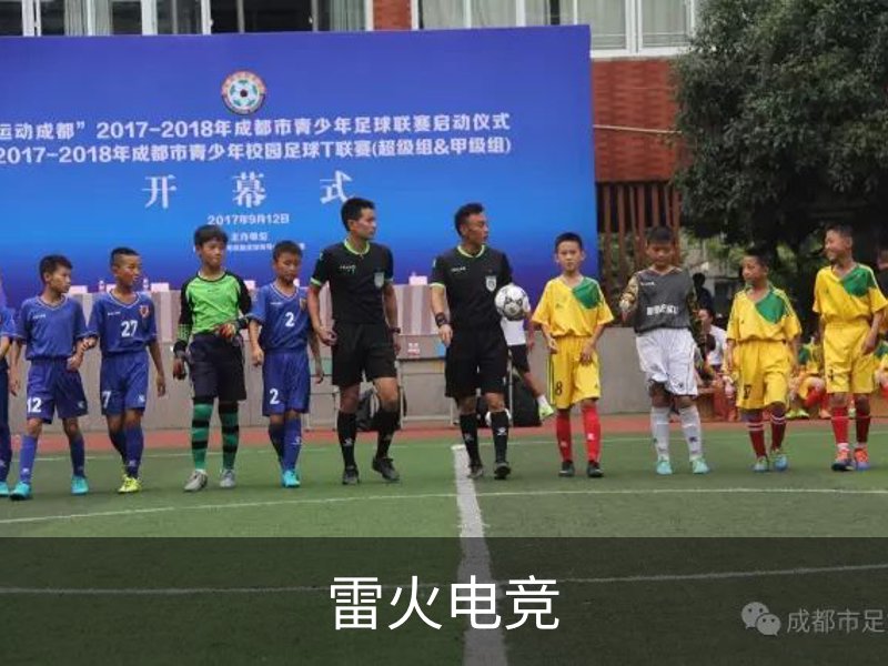 企业介绍